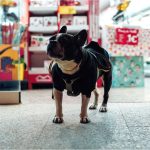 How to choose the right products for your pet